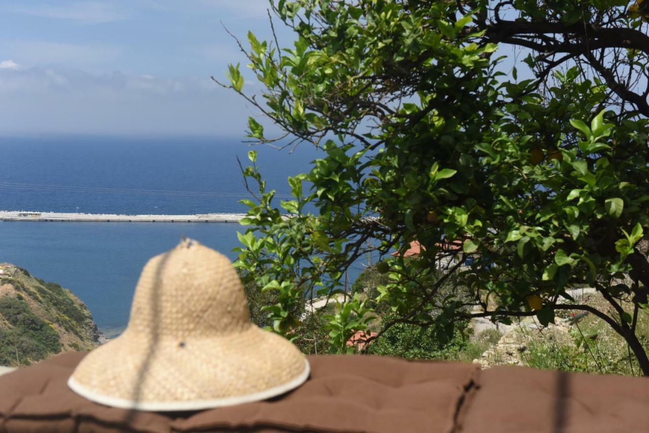 Mare Vista Villa Evdilos  Dış mekan fotoğraf