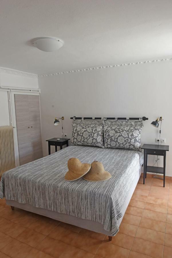 Mare Vista Villa Evdilos  Dış mekan fotoğraf